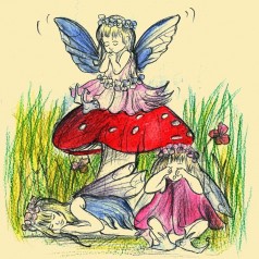 Fairy Bedtime - F9